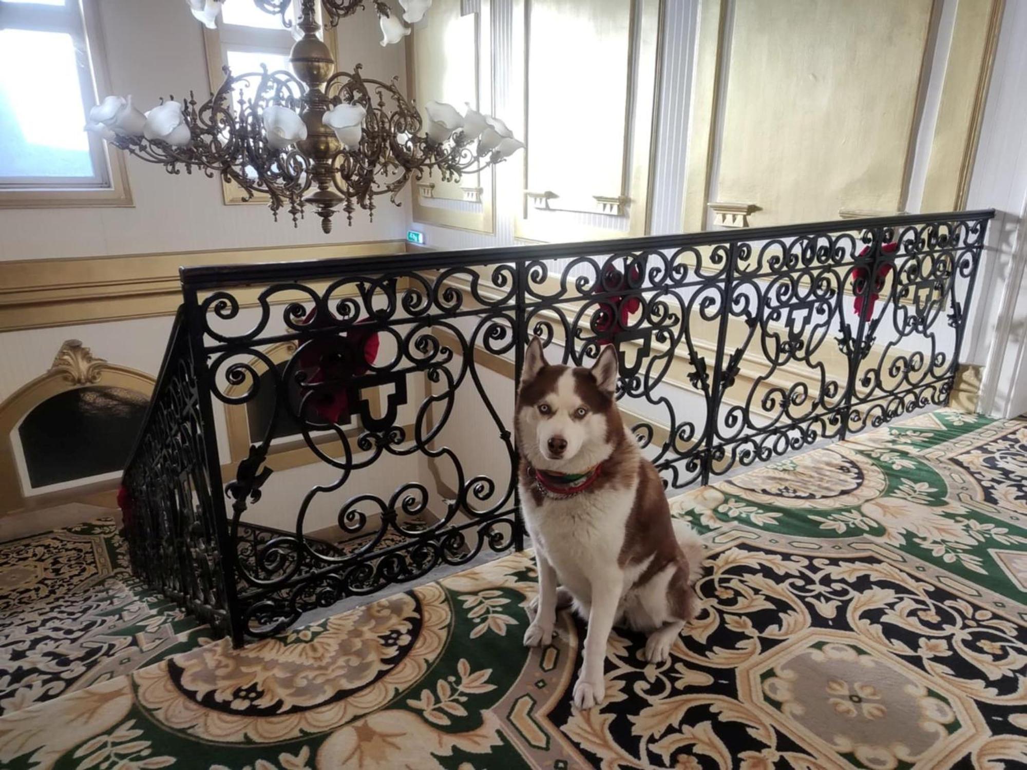 Korona Hotel Nyíregyháza Extérieur photo